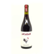 Sangiovese di Romagna Biagio Antico 2022 - Ancarani