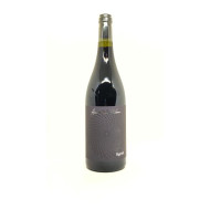 Syrah 2021 - Andrea Pilar