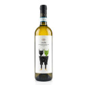Verdicchio dei Castelli di Jesi Classico Superiore DOC Titillo 2024 - Colle Jano