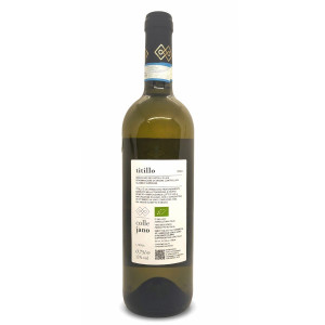 Verdicchio dei Castelli di Jesi Classico Superiore DOC Titillo  2024 - Colle Jano