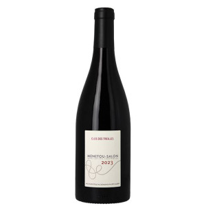 Menetou-Salon Clos Des Treilles Rouge 2022 - Domaine Philippe Gilbert