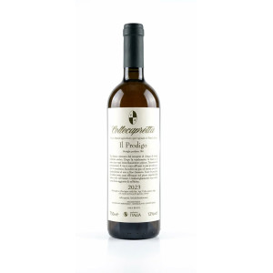 Il Prodigo 2023 - Collecapretta