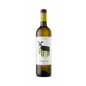 Amaltea de ​​Loxarel Vino bianco 2024 - Loxarel