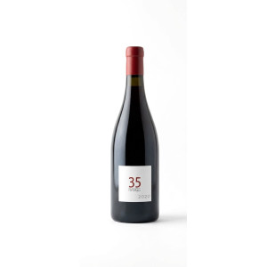 Menetou-Salon Les 35 Rangs Rouge 2020 - Domaine Philippe Gilbert