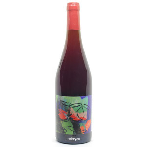 Beaujolais 2021 - Domaine David-Beaupère