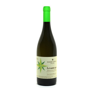 Malvasia dell'Emilia IGT "Levante 90" 2023 - Podere Cipolla