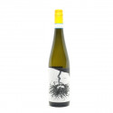 Verdicchio di Matelica DOC 2025 - Stefano Zoli
