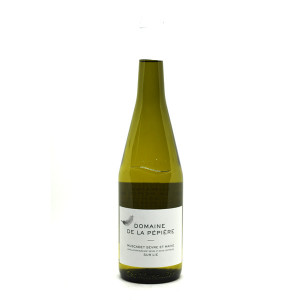 Muscadet de Sèvre et Maine 2023 - Domaine de la Pepiere