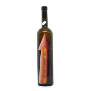 Bini Zibibbo 2023 - Giotto Bini Serragghia