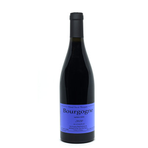 Bourgogne Rouge 2023 -  Sylvain Pataille