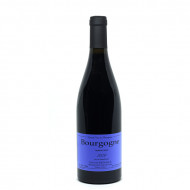 Bourgogne Rouge 2022 -  Sylvain Pataille