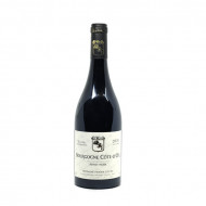 Bourgogne Cote D'Or Pinot Noir Sans Soufre 2020 - Domaine Fabien Coche
