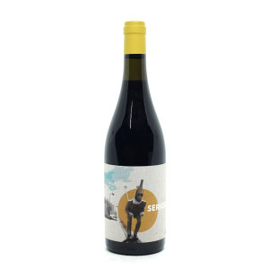 Seriuos 2020 - Villa Job