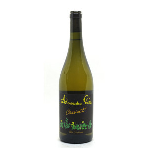 Carricatt 2022 - Alessandro Viola