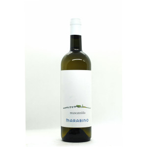 Muscatedda 2024 - Marabino